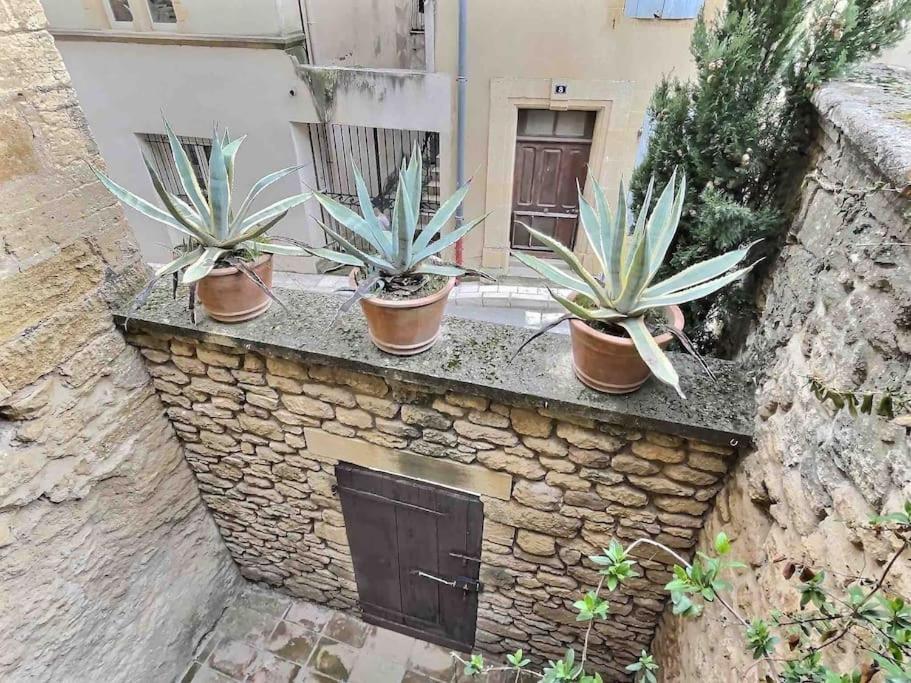 Chez Lydia - Loft Cosy, Depart Canoe A Pied, Proche Pont-Du-Gard Et Uzes Ремулен Экстерьер фото